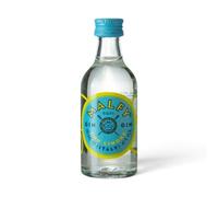 Doni Bomboniere 1 mini botella de licor Mignon Gin Limón 50 ml botella de ginebra bombonera cumpleaños 18 30 40 50 años boda graduación aniversario eventos especiales marcador de sitio Gadget original