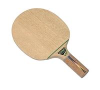 DONIC Madera Wang Xi Dotec Control Plus opciones derecha
