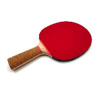 Donic-Schildkröt Raqueta de Tenis de Mesa Persson 600, Mango de Corcho, Esponja de 1,8 mm, Almohadilla Prestige-ITTF, 728461