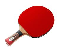 Donic-Schildkröt Top Teams 900 AVS/PLS-G - Raqueta de tenis de mesa