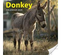 Donkey Calendar 2026: Charming Long-Eared Faces from Farm Life to Wild Hills