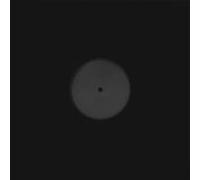 Donny Mccaslin 7-Kid (Vinyl)