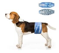 Dono Pañales Desechables para Perros machos con incontinencia urinaria,Mediano,XS,S,M,L,24 Unidades