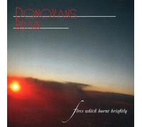 Donovan's Brain - Fires Which Burnt..