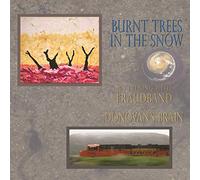 Donovan's Brain & Fraudband – Burnt Trees In The Snow – Vinilo (Importación USA)