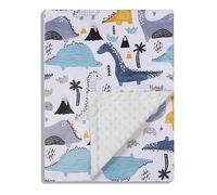 Donsonny Manta de bebé para niños y niñas, Suave Minky con Respaldo de Puntos de Doble Capa, Estampado de Dinosaurios de Color, Manta de recepción de 76 x 101 cm
