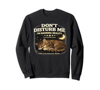 Dont Disturb Me Ignoring Reality Cat Lovers Experto Divertido Sudadera