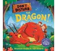 Dont Disturb The Dragon (ebook)