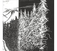 Don't Go Into The Woods