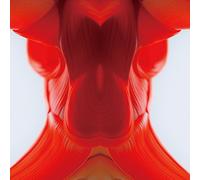 Don't miss it!! (初回生産限定盤B)(CDS+DVD)