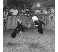 Don't Wake the Riot by Black Pistol Fire