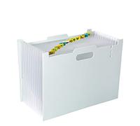 DoocliB Carpeta de Documentos A4 Expandible - 13 Compartimentos, Acordeón Portátil, Clasificadora para Casa u Oficina (Gris Claro)