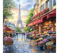 Doofeyaa 5D Diamond Painting Adultos, Pintura de Diamantes París, Flores Diamond Painting Kit Completo, Diamante Cristal Artes Bordado Punto de Cruz Diamante Dibujos para Principiantes 70x70cm G8-9