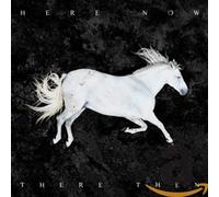 Dool Here Now There Then (CD) (Importación USA)