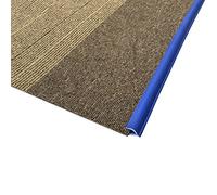 Door Strip Threshold Transition Strip Carpet & Floor Edge Trim Strip, 16ft/13ft/9.8ft/6.5ft/3.2ft Long Edge Guard Strip, for Edging Floors and Carpets with A Height Less Than 6mm