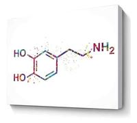 Dopamine Molecule Watercolor Print Science Chemistry Art Canvas Wall Art for Study Home Office Decor(Framed,16x24inch(40x60cm))