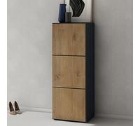 Doporro Zapatero Cofre para zapatos 45 cm Mueble de Almacenamiento de Madera Antracita Mate y Núcleo de Roble con 6 Compartimentos Zapatero02