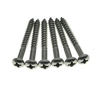 Dopro Juego de 6 tornillos de montaje de puente de trémolo de guitarra de acero inoxidable con cabeza Phillips para guitarra vintage FD Strat/Stratocaster