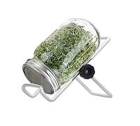 Dorccsi Kit de germinación de Semillas en tarros Mason con Tapa y Soporte para Cultivar brócoli, Alfalfa y brotes de Soja (500 ml)