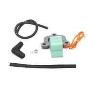 DORFEY Módulo de bobina de encendido compatible con motores fuera de borda Johnson Evinrude 502890, 582160, 584632 y 18-5194. Piezas de repuesto for magneto de motor.