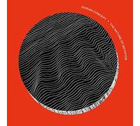 Dorian Concept - The Nature of Imitation [Vinilo]