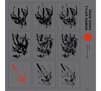 Dorji Tashi & Tyler Damon - To Catch A Bird In A Net Of Wind [Vinilo]