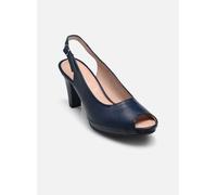 Dorking Blesa D6604 38 Azul