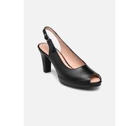Dorking Blesa D6604 39 Negro