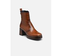 Dorking Cristel D9157 39 Marrón
