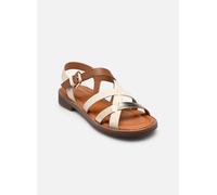 Dorking EGA D9730 37 Blanco