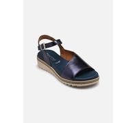 Dorking Espe D8771 36 Azul