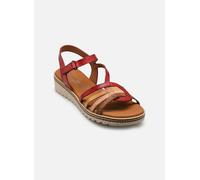 Dorking ESPE D9113 39 Multicolor