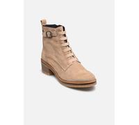 Dorking LUCERO D8868 40 Beige