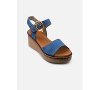Dorking NIDO D9450 36 Azul