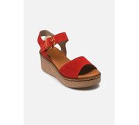 Dorking NIDO D9450 38 Rojo