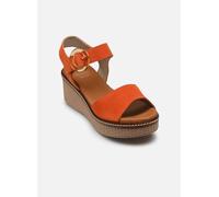 Dorking NIDO D9450 40 Naranja