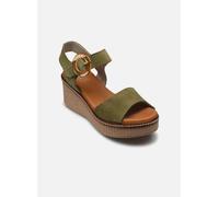 Dorking NIDO D9450 41 Verde