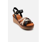 Dorking NIDO D9639 36 Negro