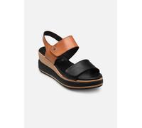 Dorking PRINCE D9643 40 Negro