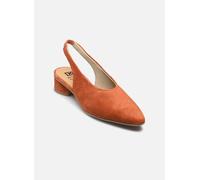 Dorking TEA D9519 39 Naranja