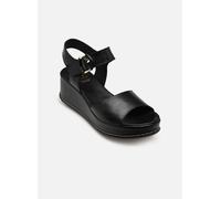 Dorking WINDY D9649 36 Negro