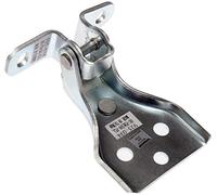 Dorman OE Solutions 925-074 - Bisagra para puerta
