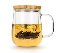 Dorsaer Taza de té de vidrio de 500 ml con infusor y tapa, taza de té de vidrio para remojar té en casa y oficina. Tazas de té de vidrio más grandes, tazas de té de vidrio transparente con infusor y