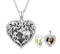 Dorunmo Collar con medallón de corazón para 2 imágenes, plata de ley 925, medallón en forma de corazón, collar con imagen joyas regalos para madres y hermanas, Plata esterlina, No es una piedra