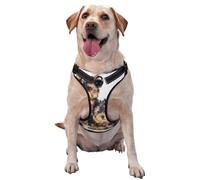 Dos Cachorros de Yorkshire Terrier,Arnés para Mascotas, arnés Reflectante Ajustable para Perros,M