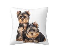 Dos cachorros de Yorkshire Terrier, funda de almohada con cremallera oculta, funda de cojín de poliéster, funda de almohada decorativa con impresión de doble cara