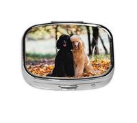 Dos caniche real bosque de otoño, Pastillero cuadrado para bolsillo o monedero, pequeño contenedor de pastillas, organizador de pastillas de viaje