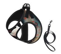 Dos grullas japonesas volando tradicional estampado de pintura para perro pequeño arnés con correa, arnés para cachorros sin escape Easy Walk para entrenamiento y caminar