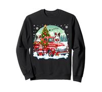 Dos Lindos gnomos de Navidad de Santa Papillons en camioneta Pickup Sudadera