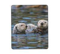 Dos Parejas De Castores Alfombrilla De Escritorio Lavable Mouse Pad Bordes Cosidos Alfombrilla De Ratón para Gaming Ordenador Hogar 25X30Cm